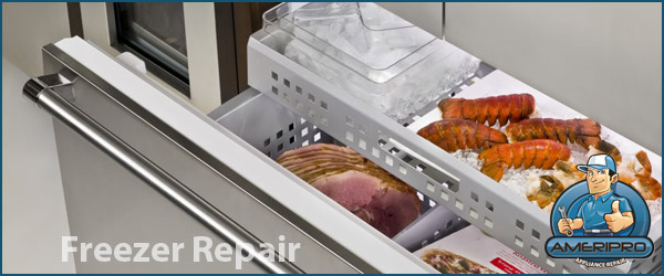 Freezer Repair Service